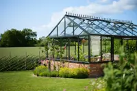 Wall