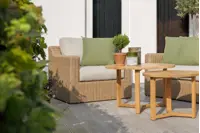 Zinnia rottingfåtölj