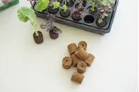 ROOT!T Odlingsbriketter Kokosfiber Refill 60-pack