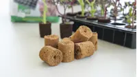ROOT!T Odlingsbriketter Kokosfiber Refill 60-pack