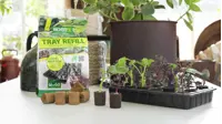 ROOT!T Odlingsbriketter Kokosfiber Refill 60-pack