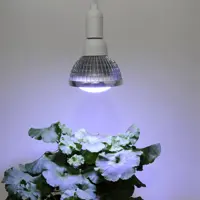 Växtlampa Vinter