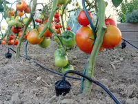Iriso bevattningssystem