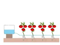 Iriso bevattningssystem