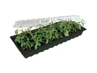 Minigro med 30 krukor