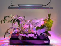 Växtbelysning Quattro 35W