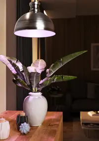 Växtlampa Florabooster 500