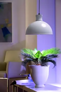 Växtlampa Florabooster 500