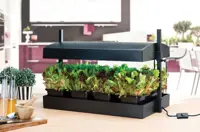 Odlingsbelysning LED