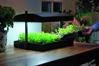 Odlingsbelysning LED