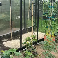 Rank-o-twist för tomatplantor