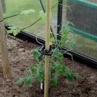 Rank-o-flex för tomatplantor